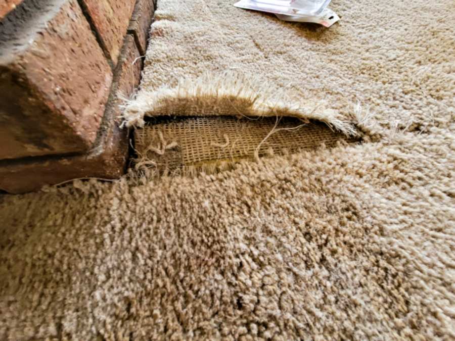 Featured image for “7 Surefire Signs It’s Time to Replace Your Carpet”